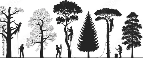Tree care workers silhouette, arborist team trimming trees, urban forestry service, tree maintenance crew, climbing and pruning, landscape work, vector illustration, isolated on white background
