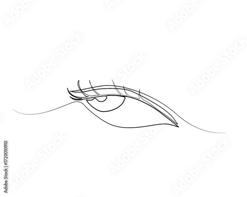 Human eye anatomy outline illustration. Continuous line drawing of beautiful eye.