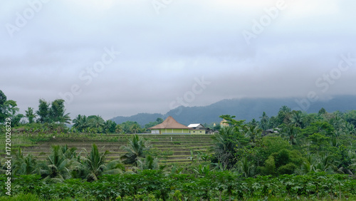 rural landscape with clouds