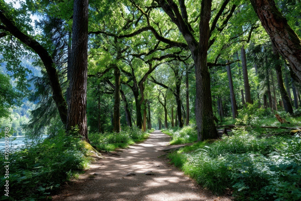 Fototapeta premium Sunlit Path through Lush Green Forest by River