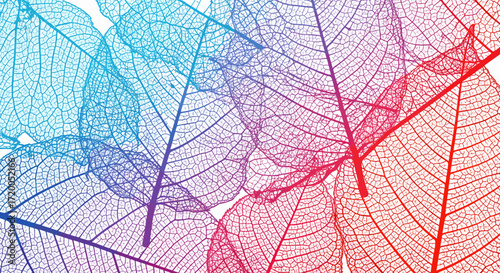 Vibrant gradient leaf vein patterns creating a modern, organic texture for design projects or creative backgrounds with delicate details