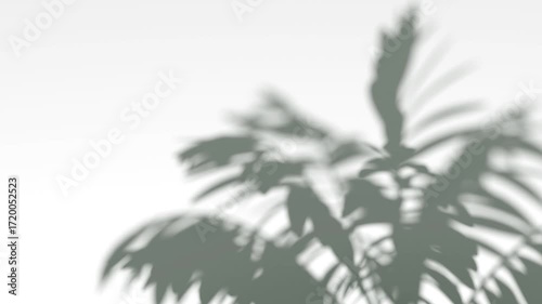 Abstract shadow fern bush branches on wind background, looped animation
