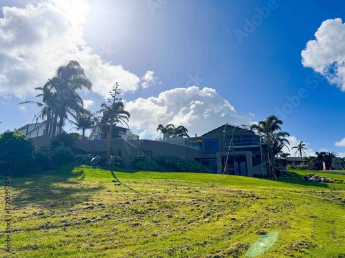 A house with green lawn backyard and tropical trees under blue sky in New Zealand.