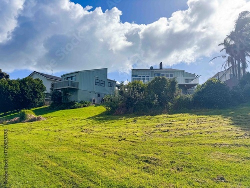 A house with green lawn backyard and tropical trees under blue sky in New Zealand.