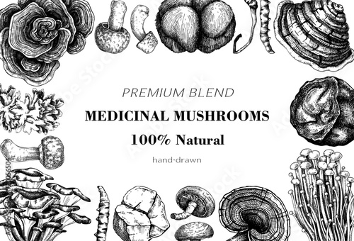 Medicinal mushroom background. Alternative medicine frame design. Hand drawn vector illustration. Healing fungi sketches. NOT AI generated