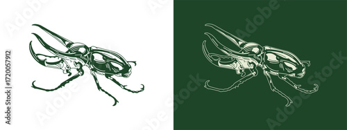 Rhinoceros Beetle Insect Vector Drawing