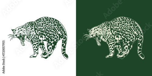 Wild Leopard Vector Illustration