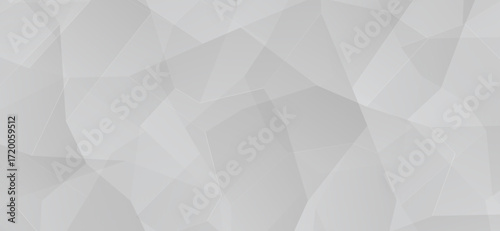A delicate arrangement of light grey polygons and intersecting lines creates a subtle, modern geometric background with depth and texture, ideal for versatile design projects