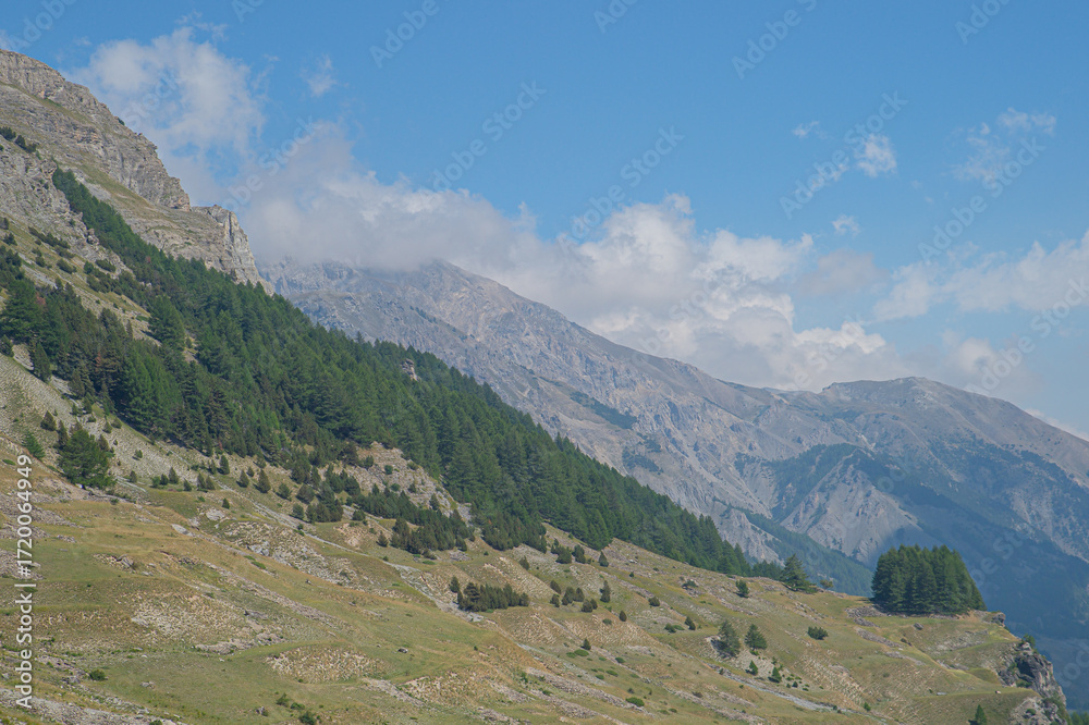 Fototapeta premium Paesaggio alpino