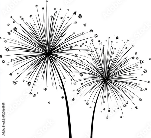 Two delicate papyrus seed heads with fine details against a white background