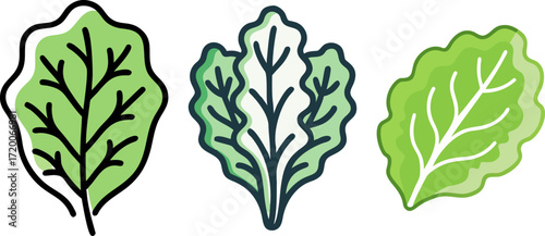  stylized cartoon lettuce leaves for a healthy and vegan diet