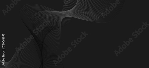 Delicate silver lines gracefully curve and intersect against a stark black backdrop, creating a flowing and elegant abstract design ideal for modern backgrounds or digital art projects