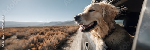 A happy golden retriever with its head out of the car window while driving through a desert landscape