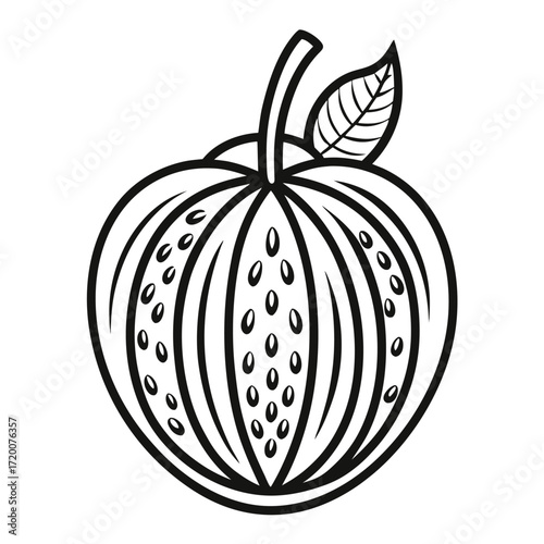 coco de mer fruit line art on white