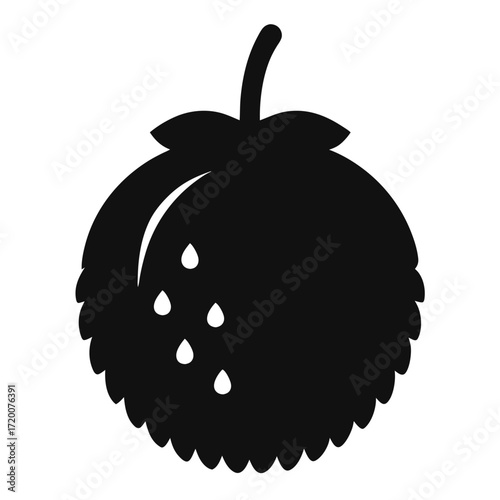 coco de mer fruit silhouette