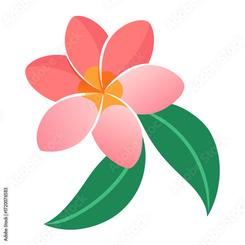 frangipani flower with leaf on white background