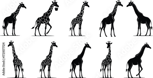 Giraffe silhouettes, cartoon giraffes, animal illustration, walking poses, standing giraffe, bucket mouth, African wildlife, vector design, creative artwork, black silhouette, pattern variation