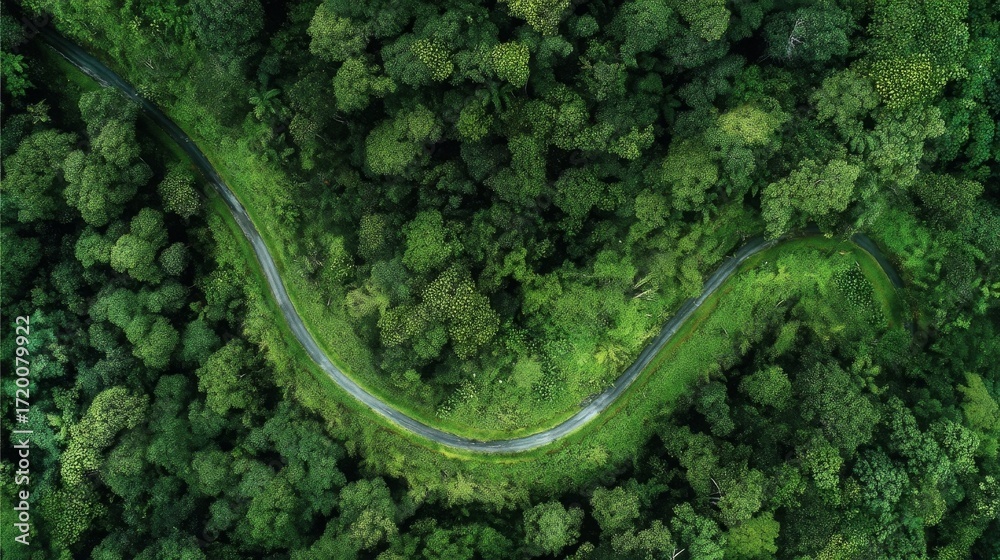 Obraz premium frog on the rock