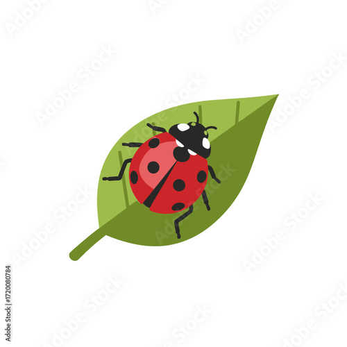 Ladybug Resting on a Green Leaf A Delightful Illustration of Nature's Beauty and Insects