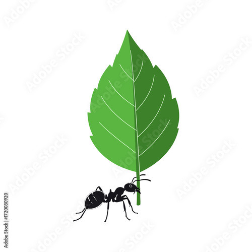 Ant Strength Carrying a Leaf