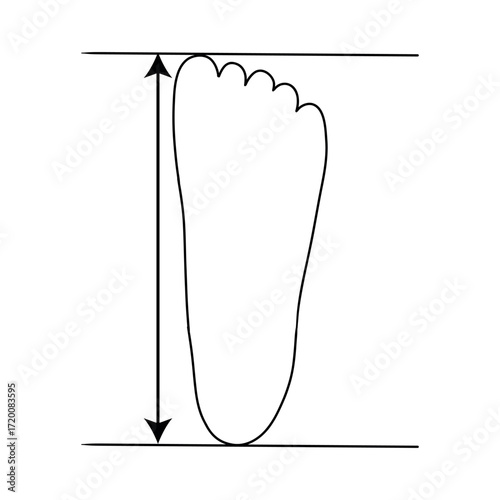 Defining correct shoe size. Foot size. Vector Line flat outline icon illustration isolated on white background.