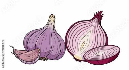 Fresh garlic bulb and sliced red onion illustration for culinary projects, adds flavor and visual appeal to recipe books and food-related designs