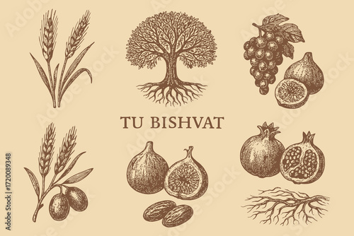 Tu b shvat holiday symbols including tree grapes figs pomegranates olives and wheat in vintage illustration style