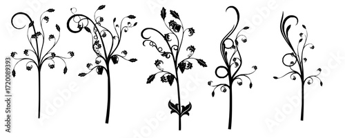 Elegant black botanical design elements for sophisticated decor, adding a touch of nature