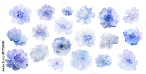Set of light blue vector watercolor flowers in a casual artistic style, roses, peonies, asters, anemones, delicate floral clip art for creative projects, cards and wedding designs.