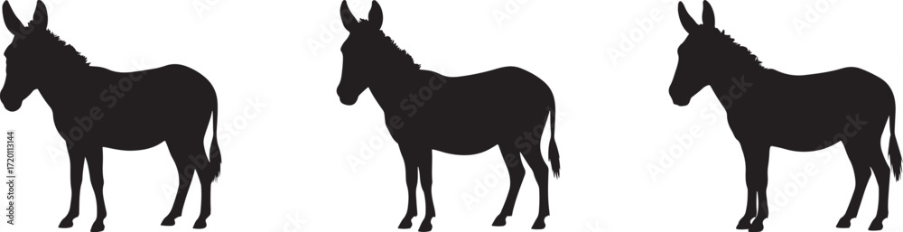 Obraz premium donkey silhouette on white background