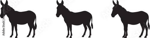 donkey silhouette on white background