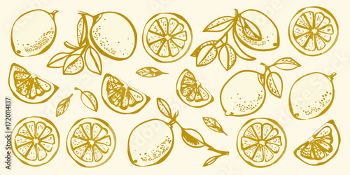 Hand drawn golden yellow citrus fruits lemons and oranges with leaves and slices on a cream background