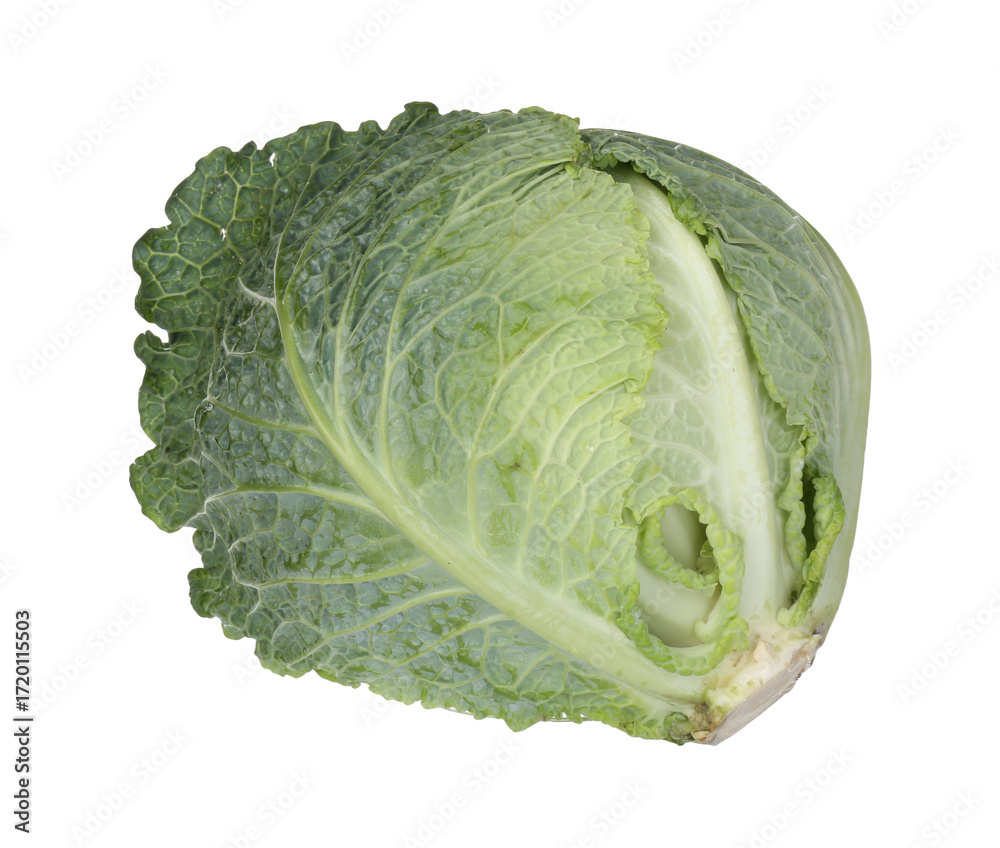 Fototapeta premium One fresh Savoy cabbage isolated on white