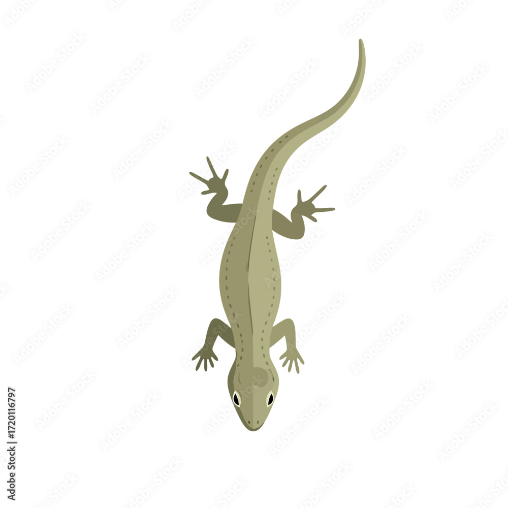 Naklejka premium Lizard's Serene Stroll A Detailed Illustration of Nature's Tiny Explorer