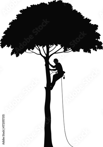 Tree climber silhouette, arborist working on tree, professional tree care, rope access, safety harness, outdoor labor, forestry worker, tree trimming, climbing gear, nature maintenance