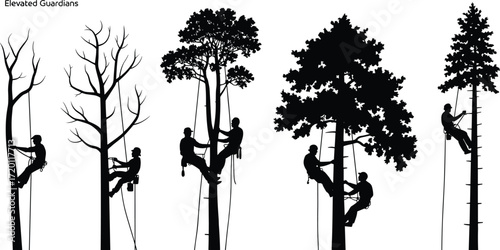 Tree climber silhouettes, arborist working on tree, forestry worker, rope access, tree trimming, outdoor labor, safety harness, professional tree care, climbing gear, nature maintenance