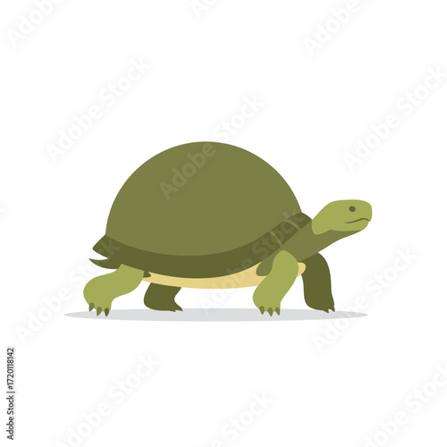 A Walking Turtle Simple Illustration of a Green Turtle on a White Background