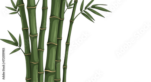 A vibrant cluster of tall green bamboo stalks reaching towards the sky.