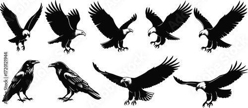 Bird silhouettes vector collection, raptors and crows illustration set, flying eagle hawk raven artwork, black white wildlife design background