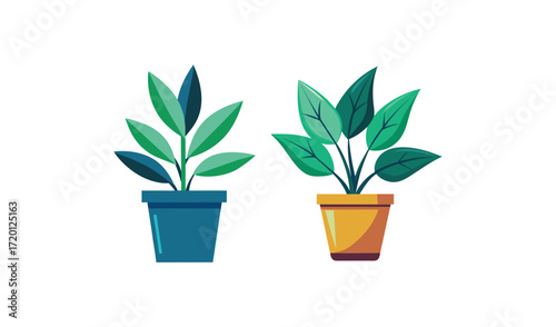 Two potted plants with green leaves, teal and yellow pots, vector illustration