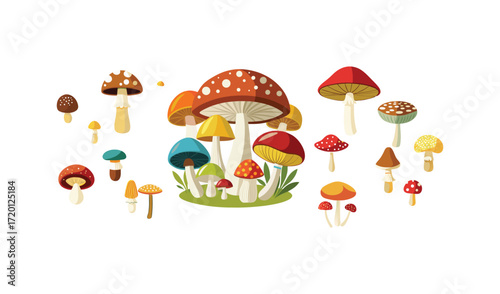 Colorful Collection of Various Mushrooms and Toadstools Illustration