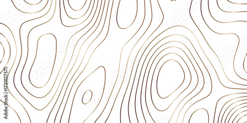 Luxur abstract pattern with lines seamless pattern and topography. Modern design white background. sea map and mounted map area space geometrics line technology topo landscape grid map discovery area.