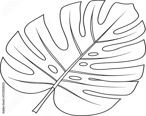 A detailed line drawing of a tropical monstera deliciosa leaf with its characteristic fenestrations isolated on white background.