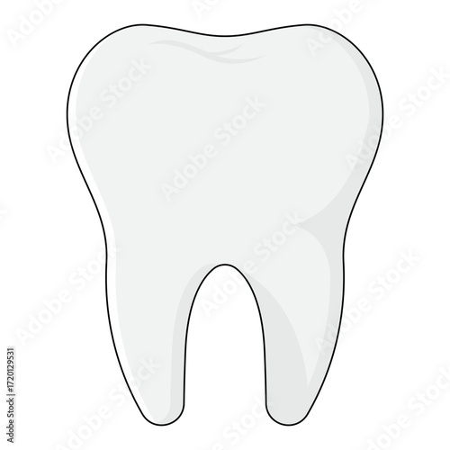 Clean White Tooth Vector Illustration Isolated on White Background