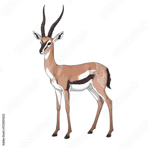 Vector illustration of a graceful gazelle with elegant horns and striking markings on its hindquarters