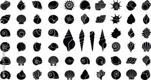 Seashell silhouettes vector collection, marine shell illustration set, ocean nature artwork, conch spiral scallop design, black white coastal background