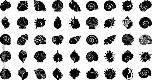 Seashell silhouettes vector collection, marine shell illustration set, ocean nature artwork, conch spiral scallop design, black white coastal background
