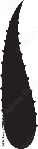 Aloe vera leaf vector silhouette, natural succulent plant design for botanical and decorative artwork.