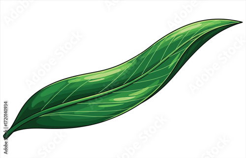 Vector art of a vibrant green leaf with intricate vein patterns, , showcases natures beauty and botanical details in a simple yet elegant composition
