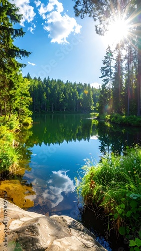 Serene lake scene in a forest